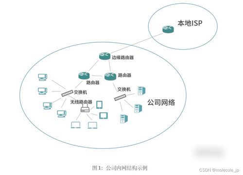 蜂窝网络csdn csdn博客